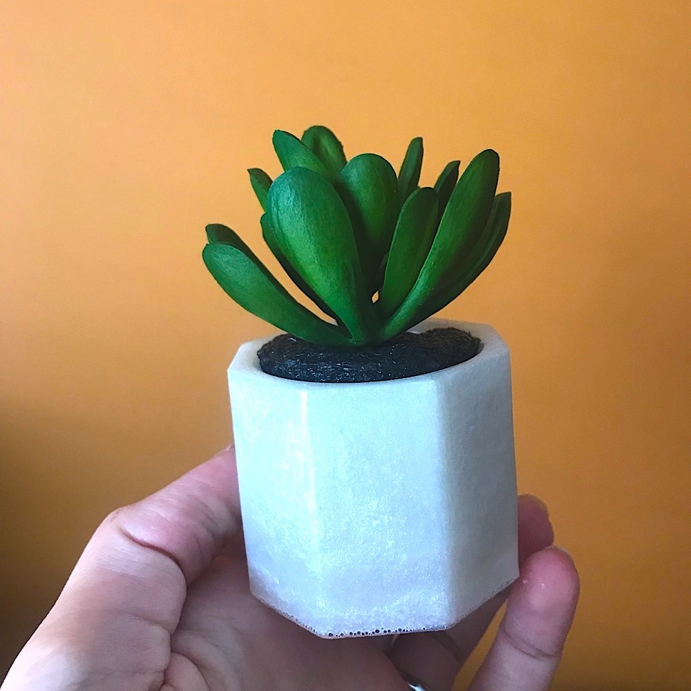 Succulent pots🌿
